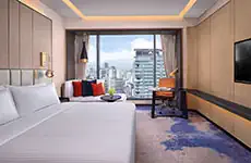 高級市景客房