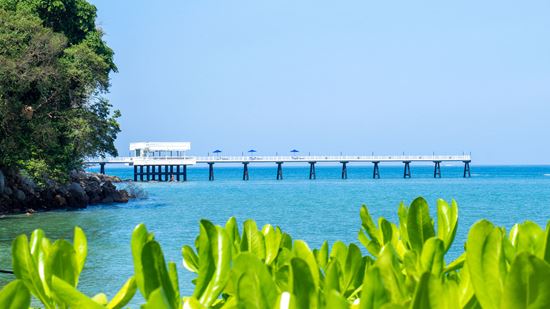 The Jetty